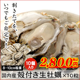 国内産殻付き生牡蠣10粒（8〜10cm程度）