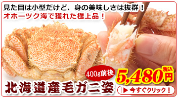 kCYуKjp400gOぃ{CⓀ