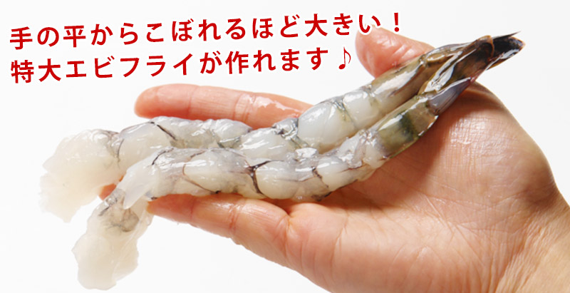 おトクな天ぷらフライ用ジャンボ生エビ10尾×2パックの通販 | 北海道わけあり市場-plus-よりお取り寄せ
