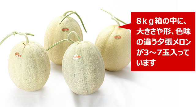 1箱限定 訳アリ品 メロン 8キロ 通販