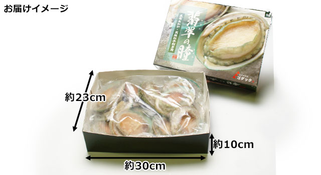 おトクな【業務用】お刺身用冷凍あわび1kg＜翡翠の瞳＞の通販 | 北海道わけあり市場-plus-よりお取り寄せ
