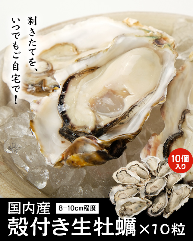 おトクな国内産殻付き生牡蠣10粒 8 10cm程度 生冷凍 の通販 北海道わけあり市場 Plus よりお取り寄せ