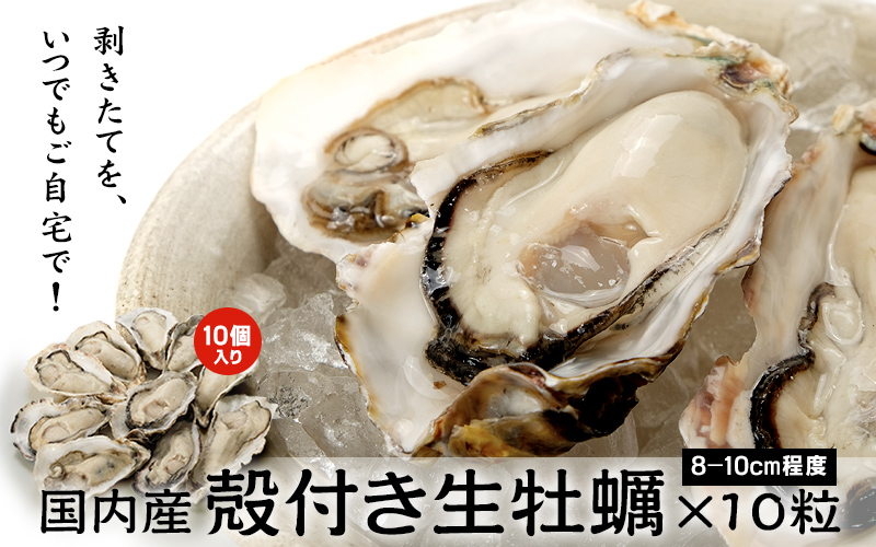 国内産生牡蠣（殻付き）10粒