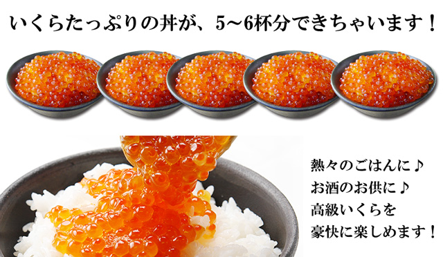 おトクな業務用北海道産いくら醤油漬け500gの通販 北海道わけあり市場 Plus よりお取り寄せ おトクな業務用北海道産いくら醤油漬け500gの通販 北海道わけあり市場 Plus よりお取り寄せ