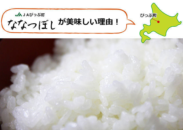 おトクな北海道産ななつぼし(20kg・白米)の通販 | 北海道わけ おトクな北海道産ななつぼし(20kg・白米)の通販 | 北海道わけ