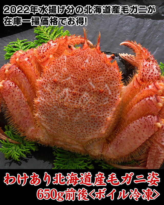 おトクなわけあり北海道産毛ガニ姿650g前後＜ボイル冷凍＞の通販
