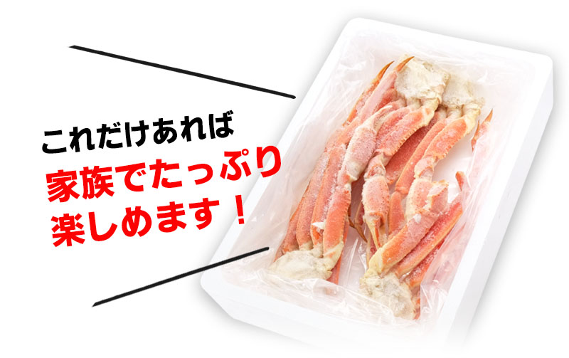 おトクな本ズワイガニ折れ足1.2kg箱<ボイル冷凍>の通販 | 北海道わけあり市場-plus-よりお取り寄せ おトクな本ズワイガニ折れ足1.2kg箱<ボイル冷凍>の通販 | 北海道わけあり市場-plus-よりお取り寄せ