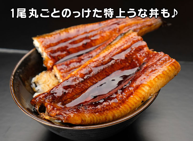 Ɩp傤Ȃ