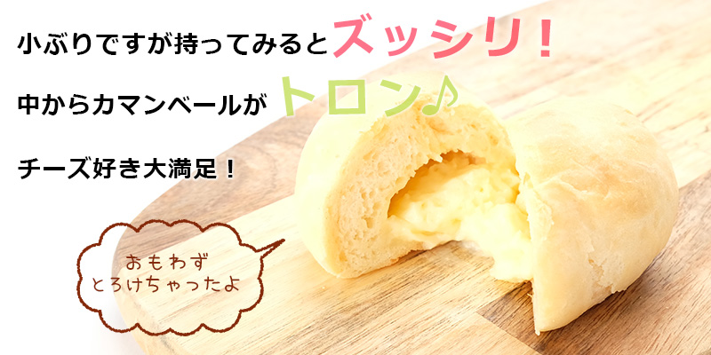 ԔqkCzGCp12(J}x[N[)
