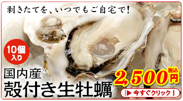 国内産殻付き生牡蠣10粒（8〜10cm程度）＜生冷凍＞