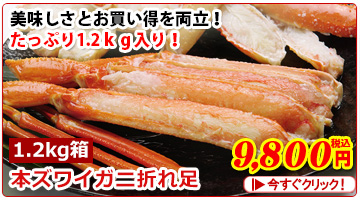 ^o܂ꑫBOX2kgⓀ