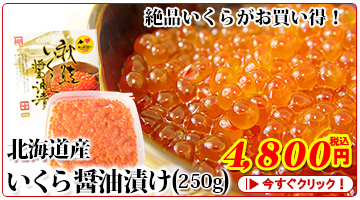 北海道産いくら醤油漬け(100g×2パック)