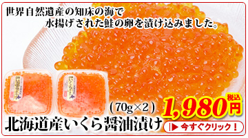 kCYݖЂ(70g~2)