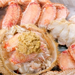 ܂ȂуKj1.5kg(2`3O){CⓀ